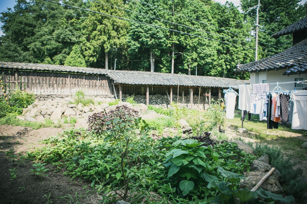 採用情報